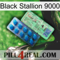 Black Stallion 9000 new02